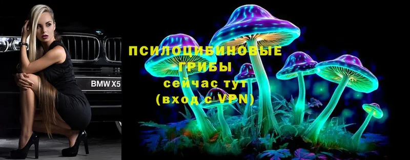 Псилоцибиновые грибы GOLDEN TEACHER  Мосальск 